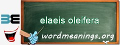 WordMeaning blackboard for elaeis oleifera